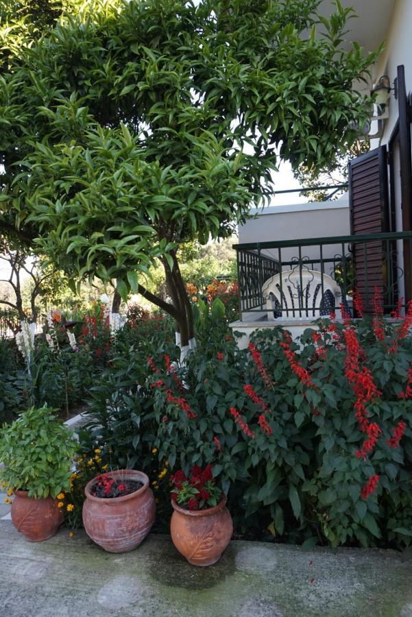 Villa Nikolaou بارغا المظهر الخارجي الصورة