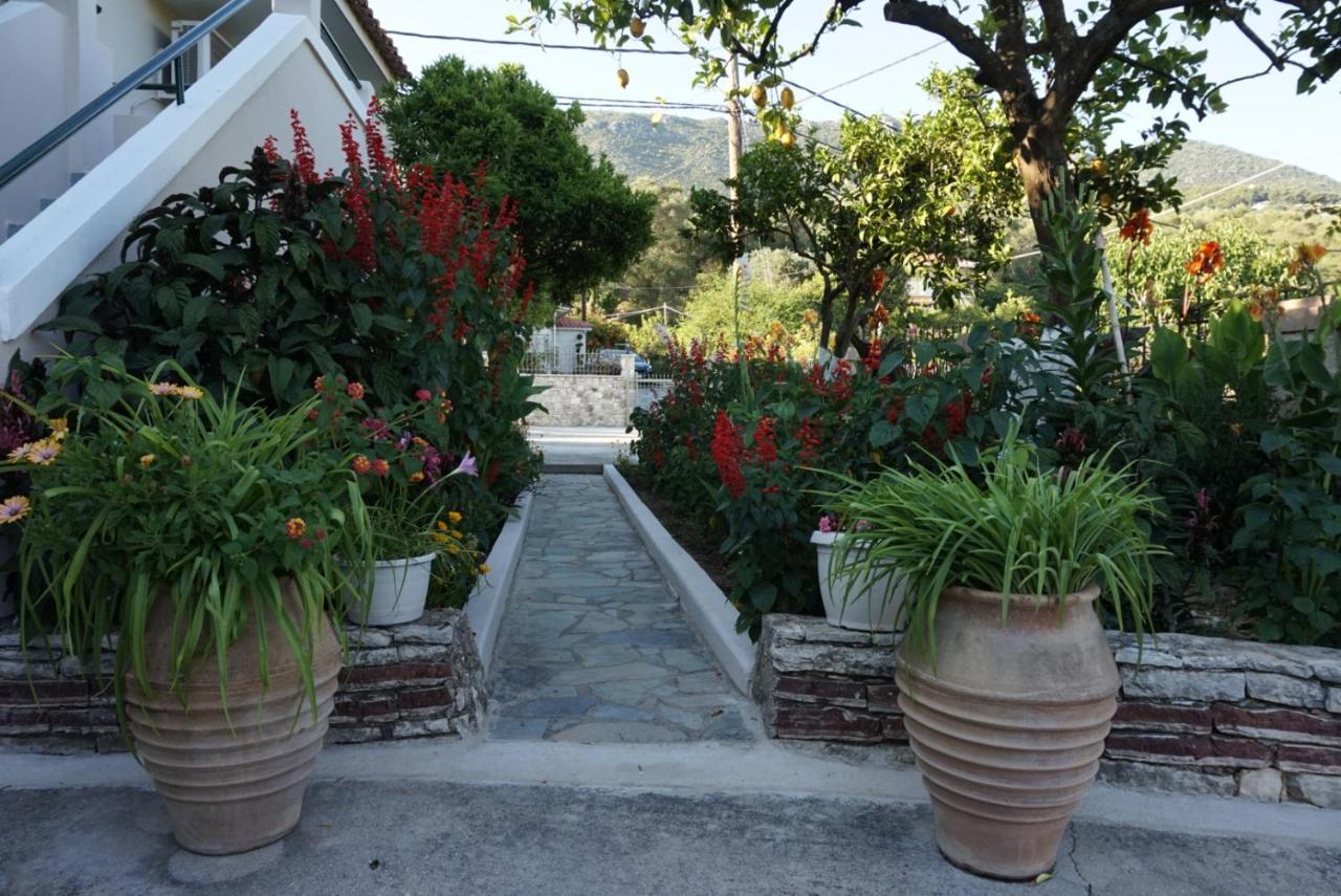 Villa Nikolaou بارغا المظهر الخارجي الصورة