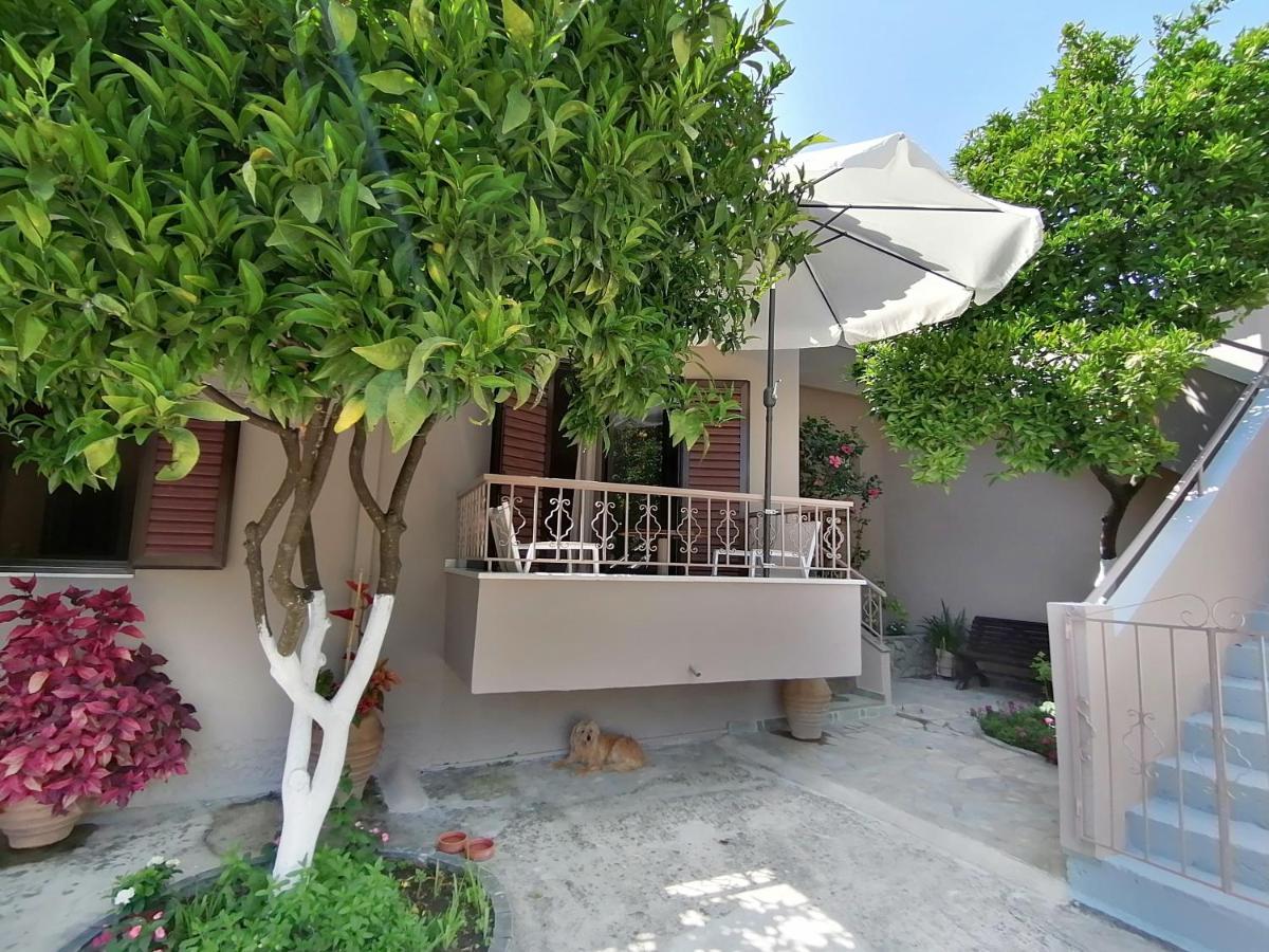 Villa Nikolaou بارغا المظهر الخارجي الصورة